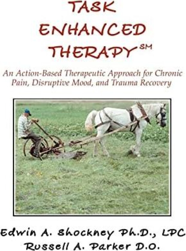 Task Enhanced TherapySM av Edwin A Shockney (Paperback)