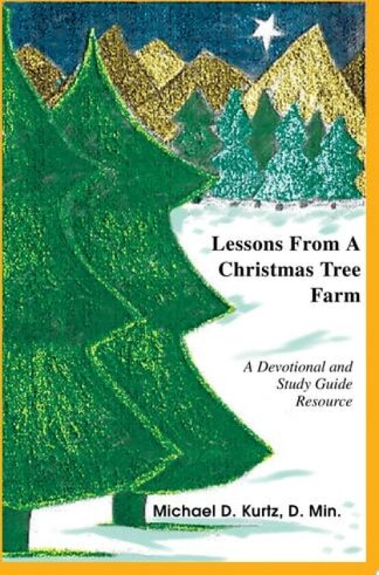 Lessons from a Christmas Tree Farm av Michael D Kurtz, D Min (Paperback)