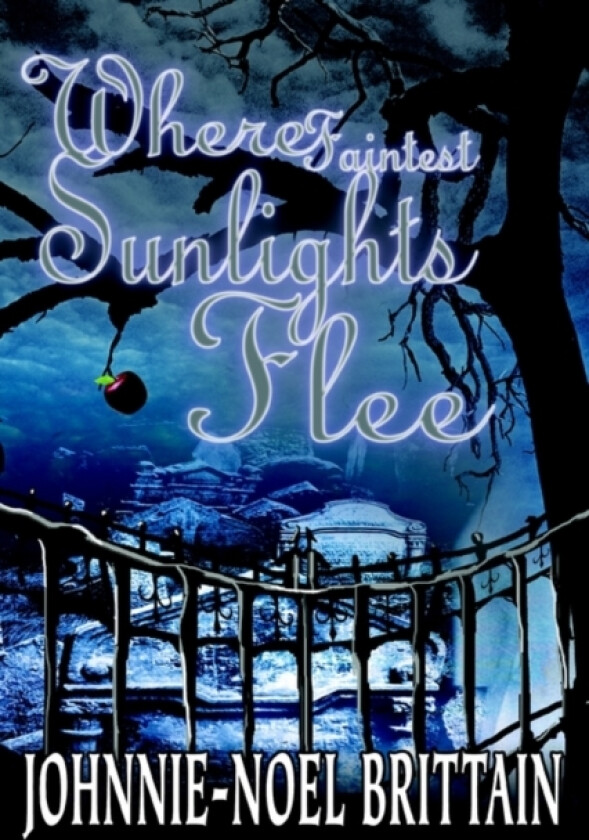 Where Faintest Sunlights Flee av Johnnie-Noel Brittain (Paperback)