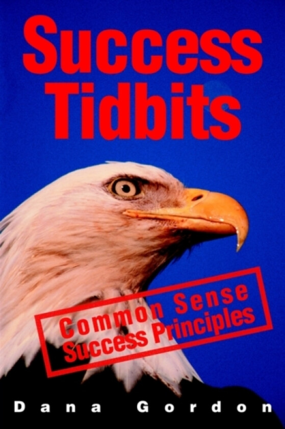 Success Tidbits av Dana J Gordon (Paperback)
