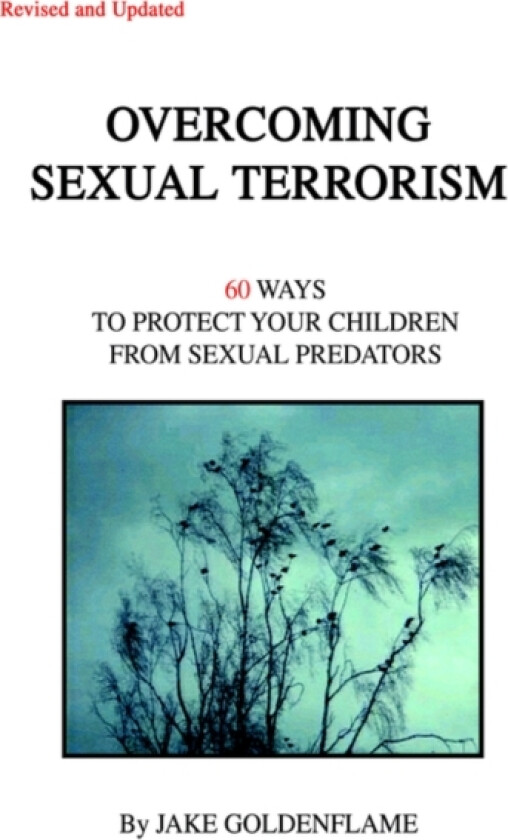 Overcoming Sexual Terrorism av Jake Goldenflame (Paperback)