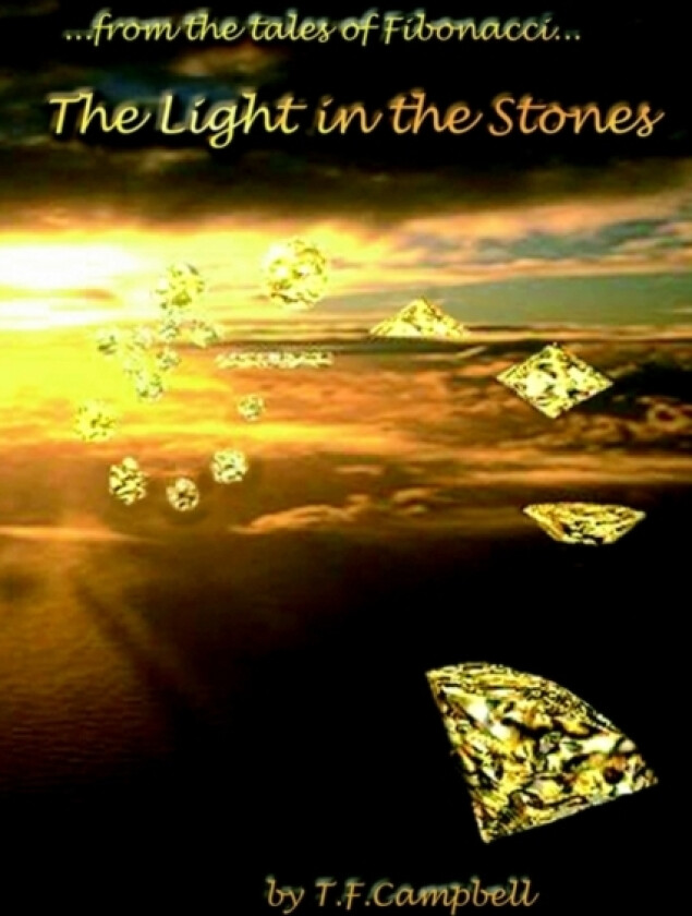 The Light in the Stones av T F Campbell (Paperback)