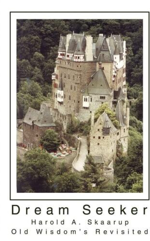Dream Seeker av Harold a Skaarup (Paperback)