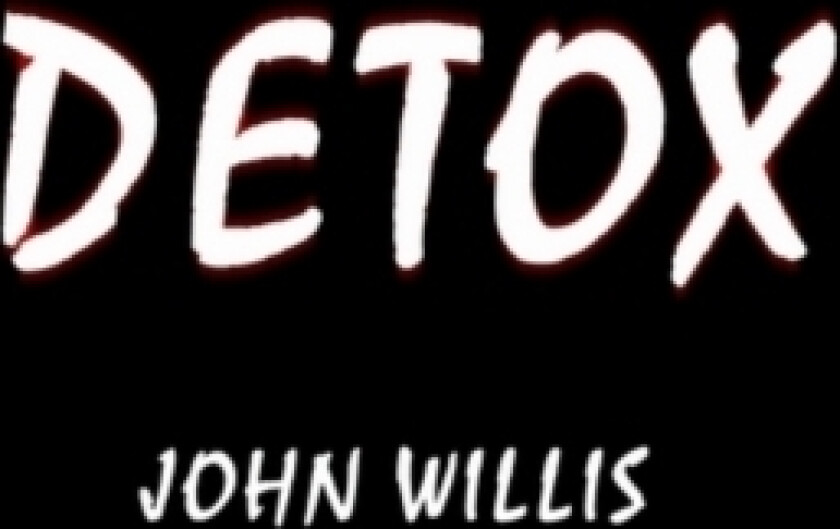 Detox av John G Willis (Paperback)