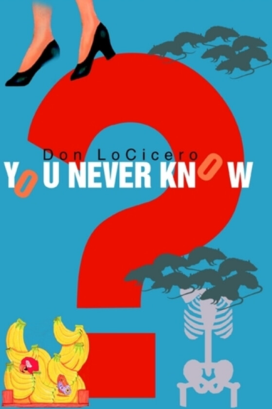 You Never Know av Don Locicero (Paperback)