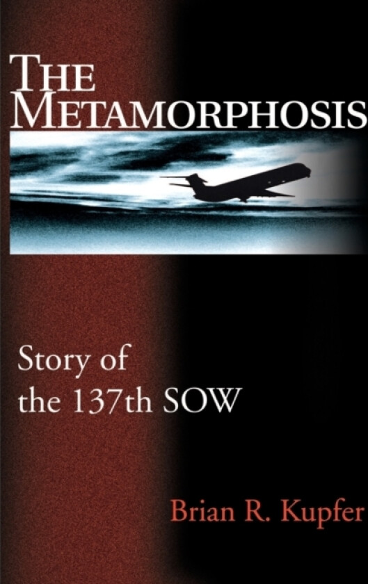 The Metamorphosis av Brian R Kupfer (Paperback)