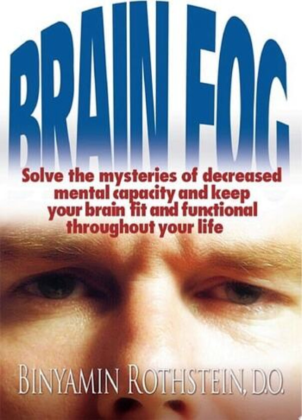 Brain Fog av Binyamin Rothstein (Paperback)