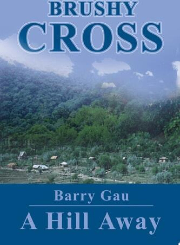 Brushy Cross av Barry Gau (Paperback)