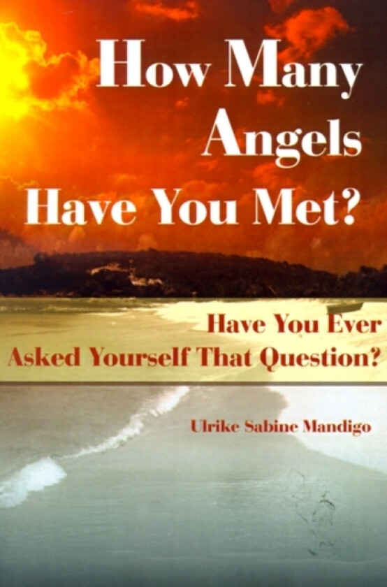 How Many Angels Have You Met? av Ulrike Sabine Mandigo (Paperback)