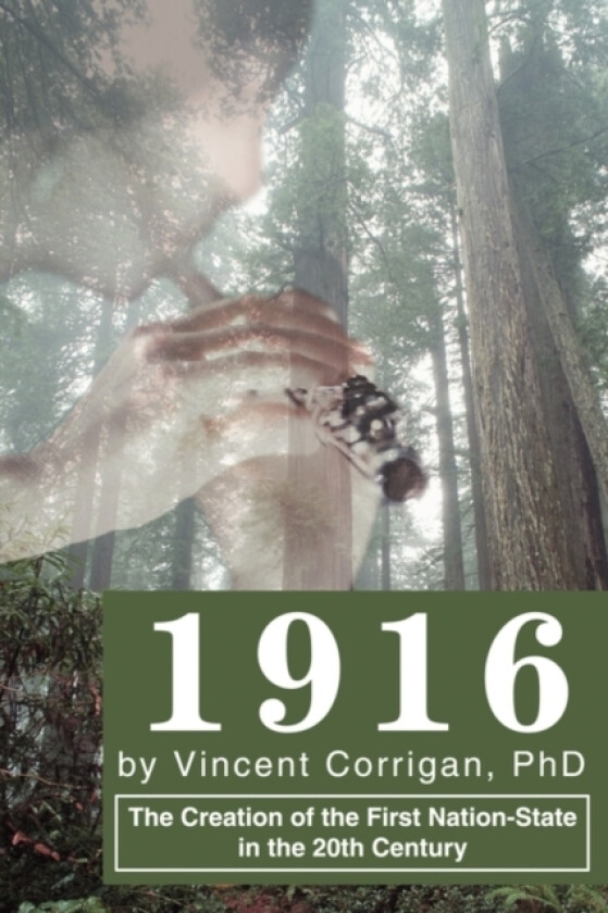 1916 av Vincent D Corrigan (Paperback)