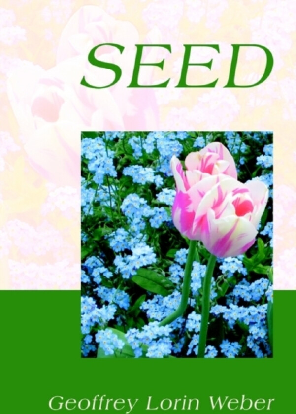 seed av Geoffrey Lorin Weber (Paperback)