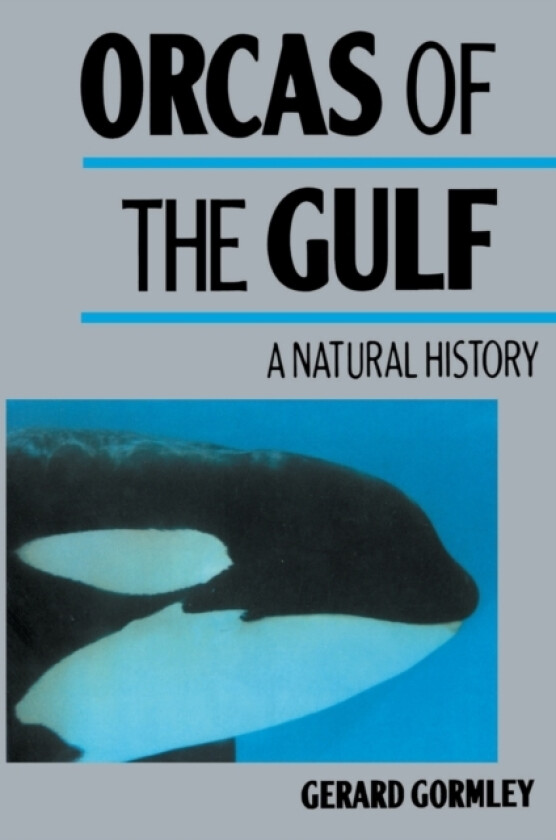 Orcas of the Gulf av Gerard Gormley (Paperback)