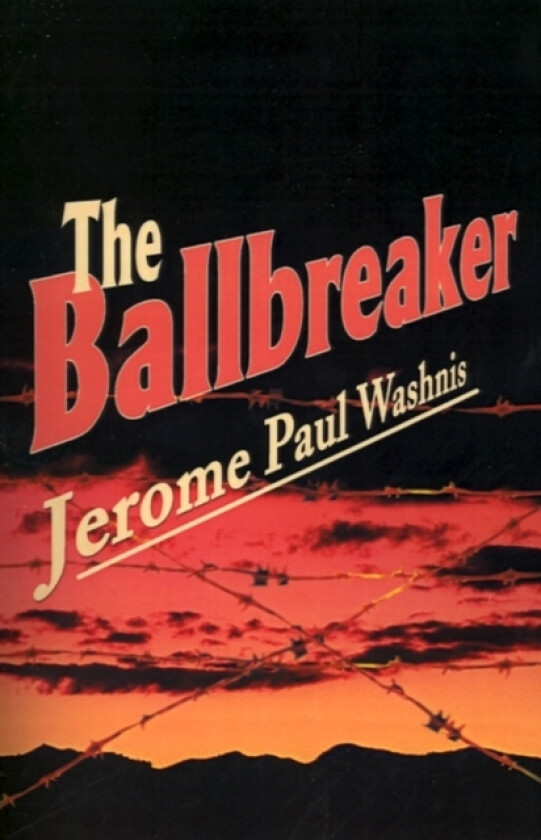 The Ballbreaker av Jerome Paul Washnis (Paperback)