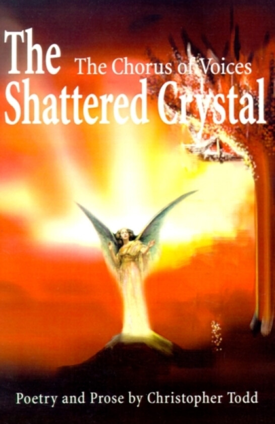 The Shattered Crystal av Christopher P Todd (Paperback)