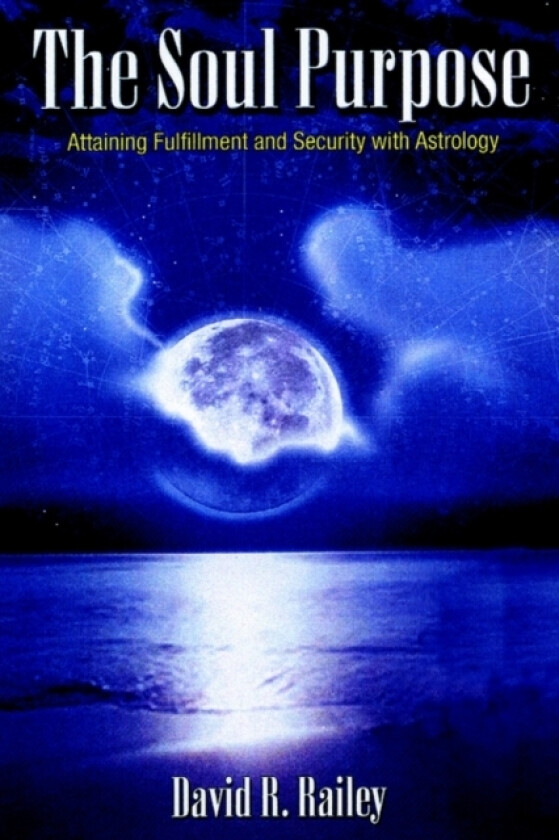 The Soul Purpose av David R Railey (Paperback)