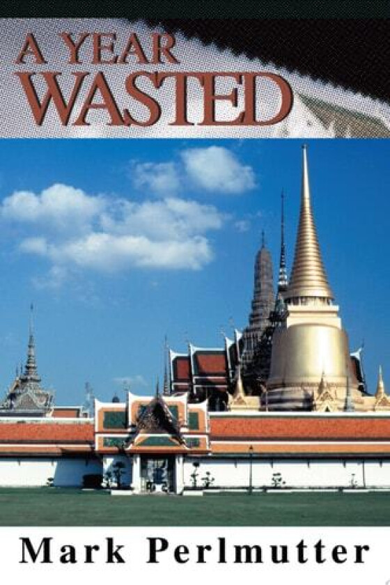 A Year Wasted av Mark Perlmutter (Paperback)