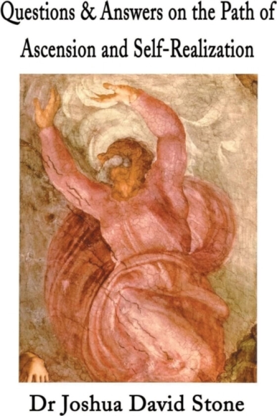 Questions & Answers on the Path of Ascension and Self-Realization av Joshua D Stone (Paperback)