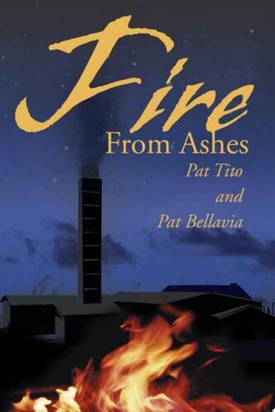 Fire from Ashes av Pat Tito, Pat Bellavia (Paperback)