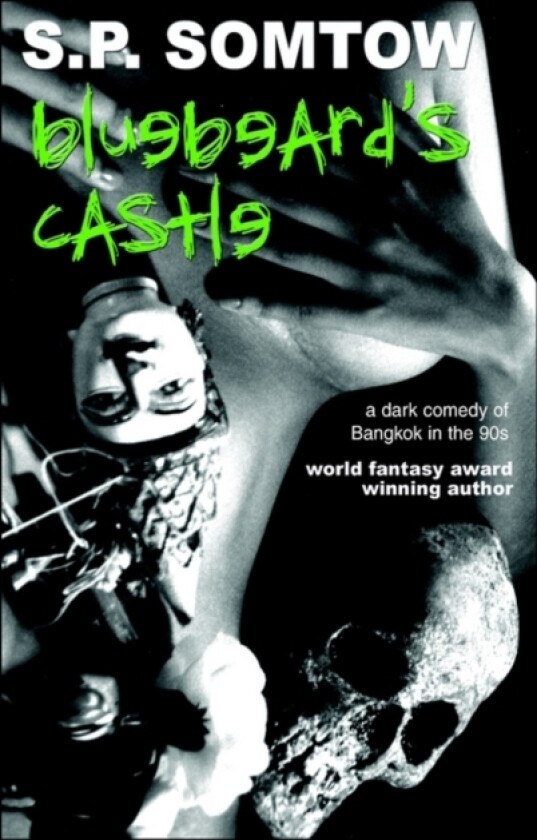 Bluebeard's Castle av S P Somtow (Paperback)