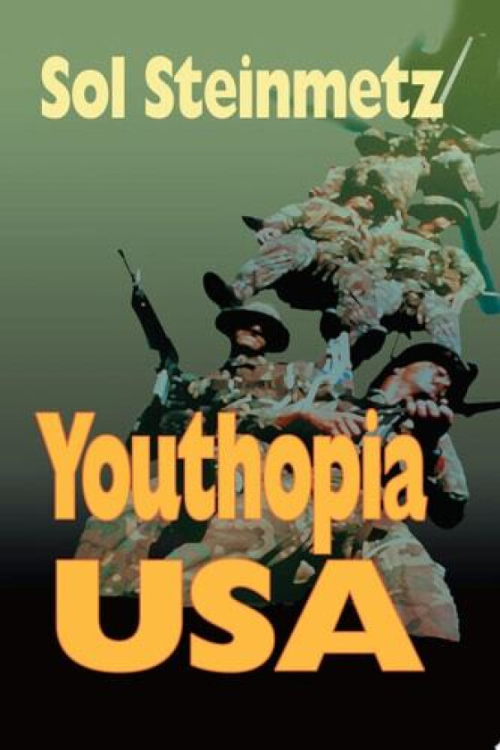 Youthopia USA av Sol Steinmetz (Paperback)