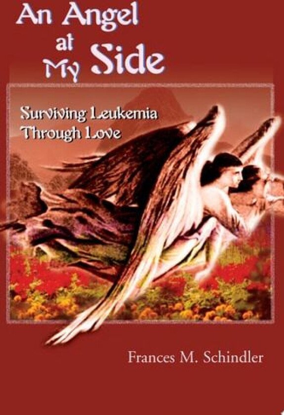 An Angel at My Side av Frances M Schindler (Paperback)
