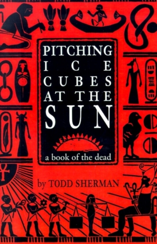 Pitching Ice Cubes at the Sun av Todd Sherman (Paperback)