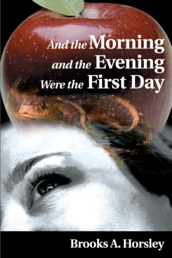 And the Morning and the Evening Were the First Day av Brooks a Horsley (Paperback)