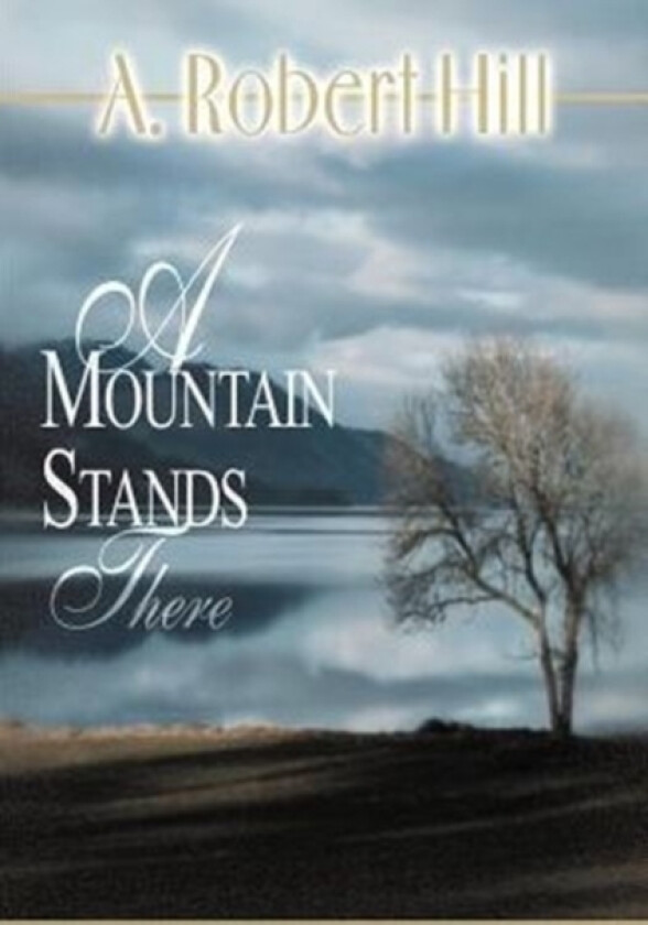 A Mountain Stands There av A Robert Hill (Paperback)