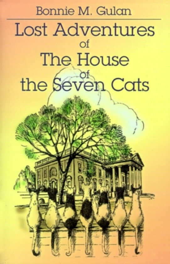 Lost Adventures of the House of the Seven Cats av Story Lady (Paperback)