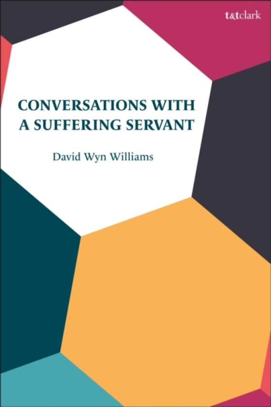 Conversations with a Suffering Servant av David Wyn Williams (Hardcover)