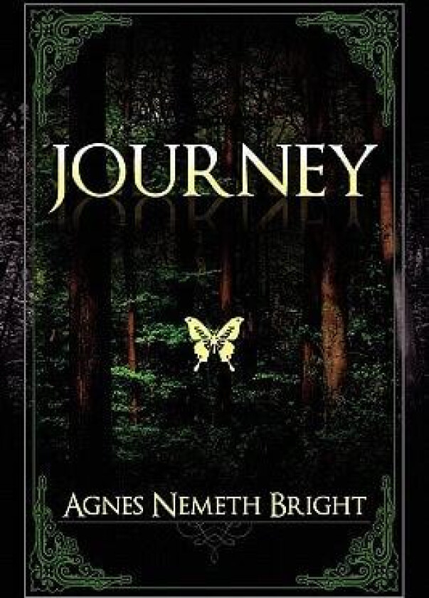 Journey av Agnes Nemeth Bright (Paperback)