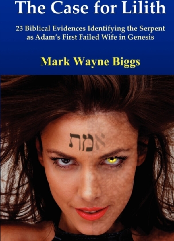 The Case for Lilith av Mark Biggs (Paperback)