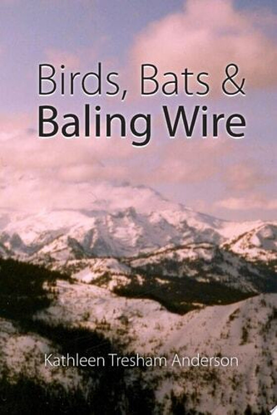Birds, Bats & Baling Wire av Kathleen Tresham Anderson (Paperback)