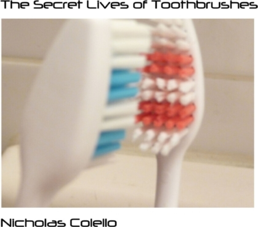 The Secret Lives of Toothbrushes av Nicholas Colello (Paperback)