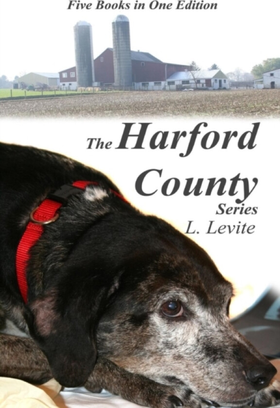 The Harford County Series av Lewis Levite (Paperback)