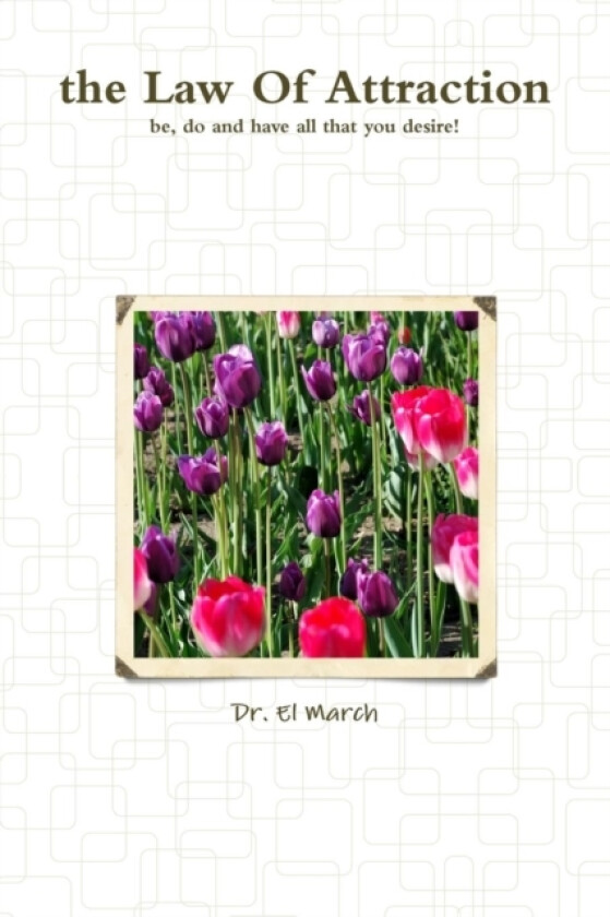 the Law Of Attraction av El March (Paperback)