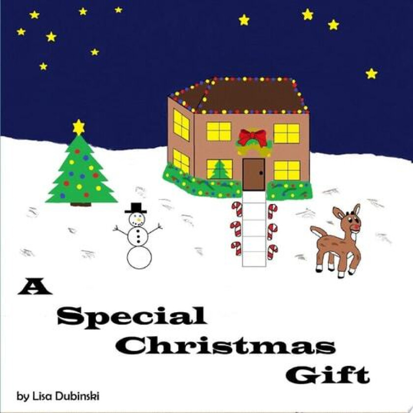 A Special Christmas Gift av Lisa Dubinski (Paperback)