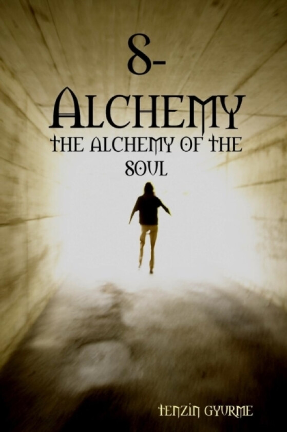 S-Alchemy av Tenzin Gyurme (Paperback)