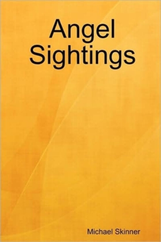 Angel Sightings av Michael Skinner (Paperback)