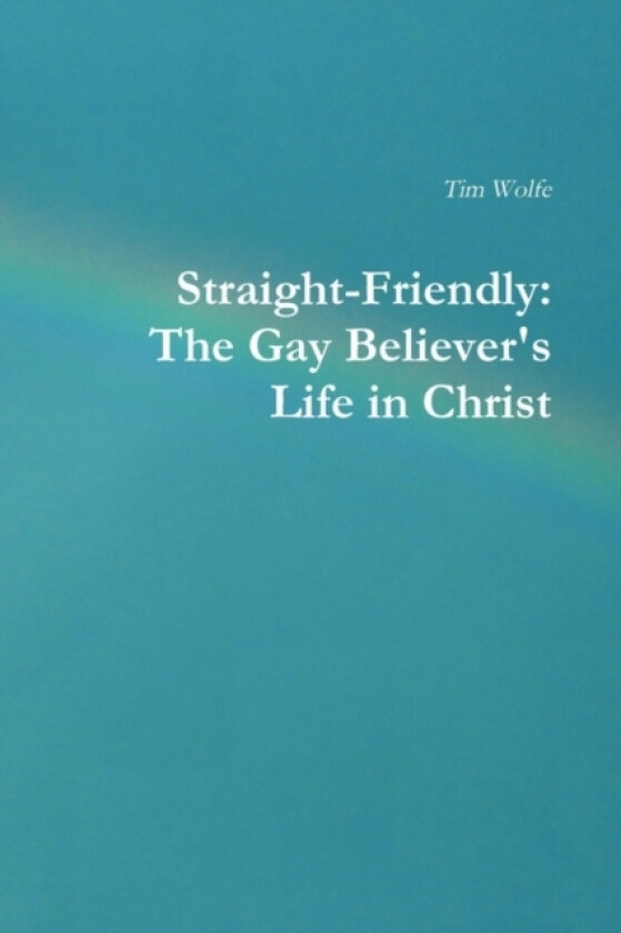 Straight-Friendly av Tim Wolfe (Paperback)