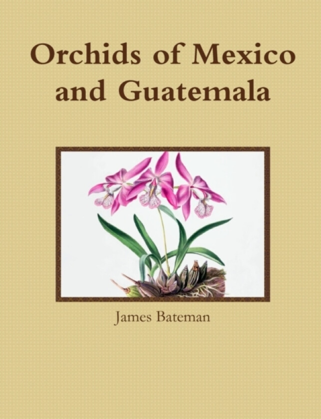 Orchids of Mexico and Guatemala av James Bateman (Paperback)