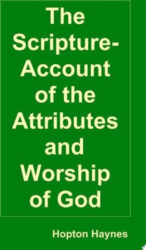 The Scripture-Account of the Attributes and Worship of God; and of the Character and Offices of Jesus Christ av Hopton Haynes (Paperback)