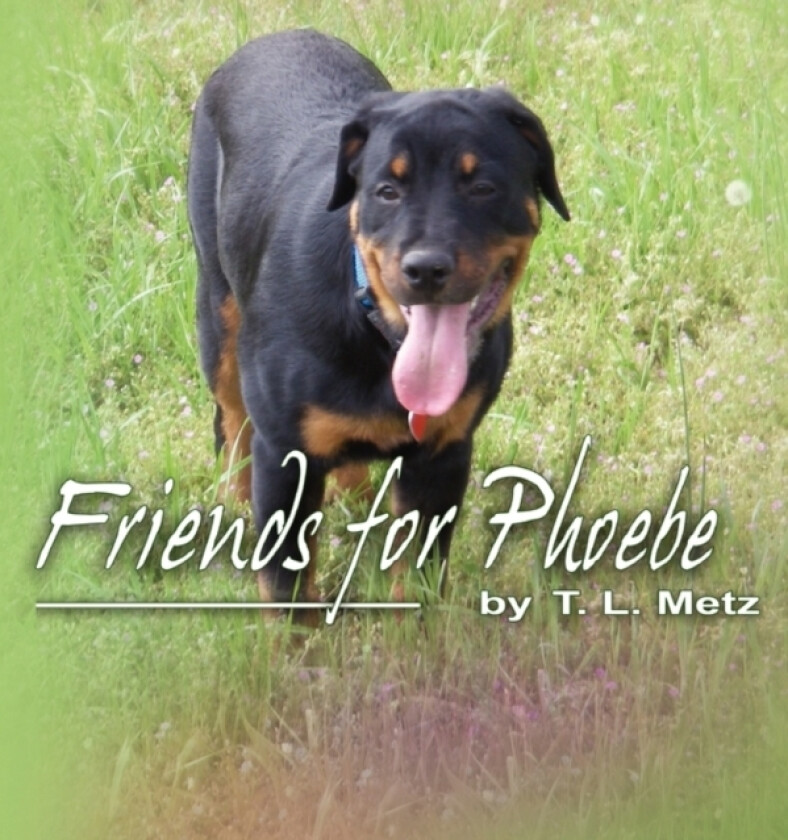 Friends for Phoebe av Teresa L. Metz (Paperback)