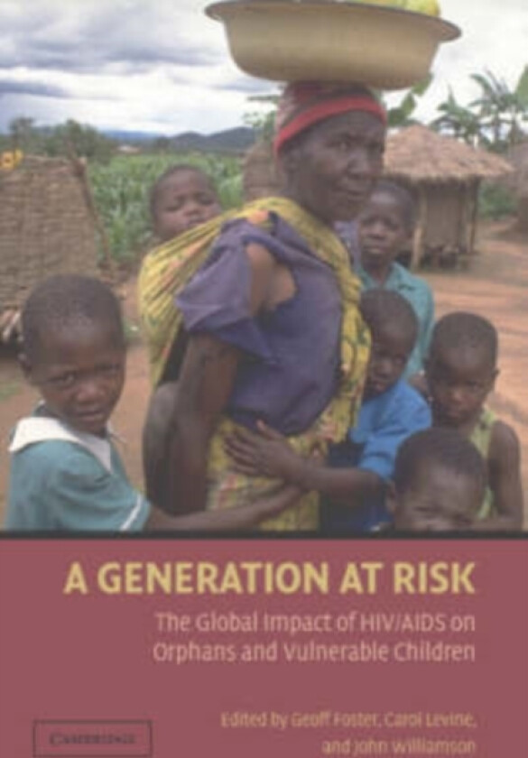 A Generation at Risk av John Williamson (Paperback)