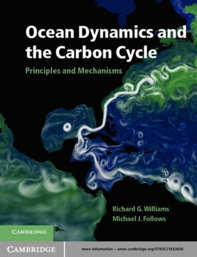 Ocean Dynamics and the Carbon Cycle av Richard G. Williams, Michael J. Follows (Hardcover)