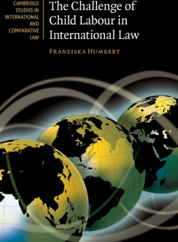 The Challenge of Child Labour in International Law av Franziska Humbert (Hardcover)