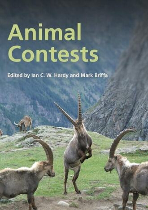 Animal Contests av Ian C. W. Hardy (Hardcover)