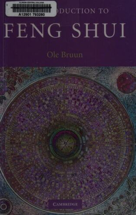 An Introduction to Feng Shui (Introduction to Religion) av Ole Bruun (Paperback)