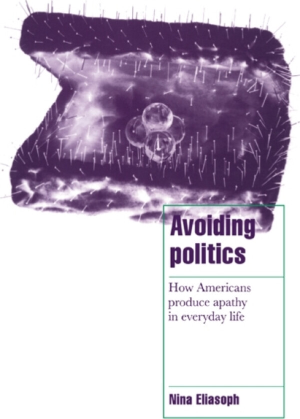 Avoiding Politics av Nina Eliasoph (Hardcover)