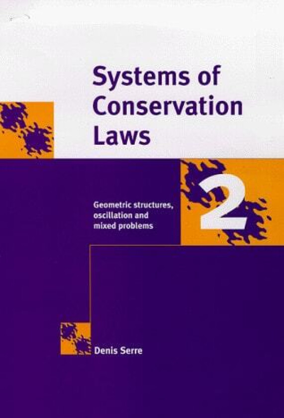 Systems of Conservation Laws 1 av Denis Serre (Hardcover)